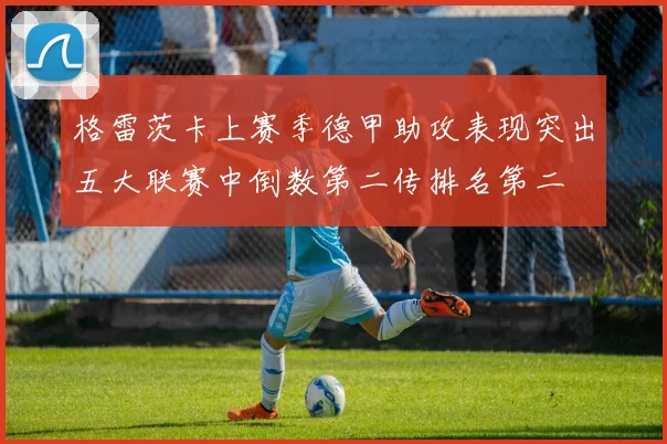 格雷茨卡上赛季德甲助攻表现突出五大联赛中倒数第二传排名第二